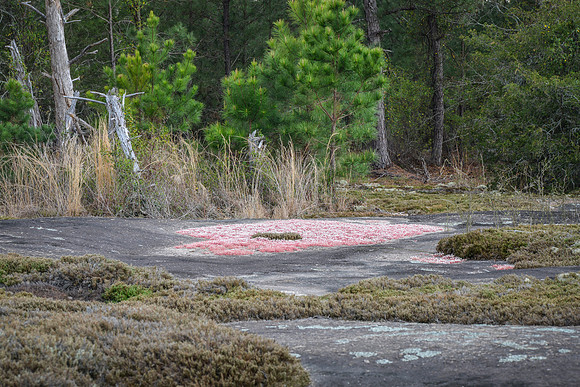 Heggie's Rock