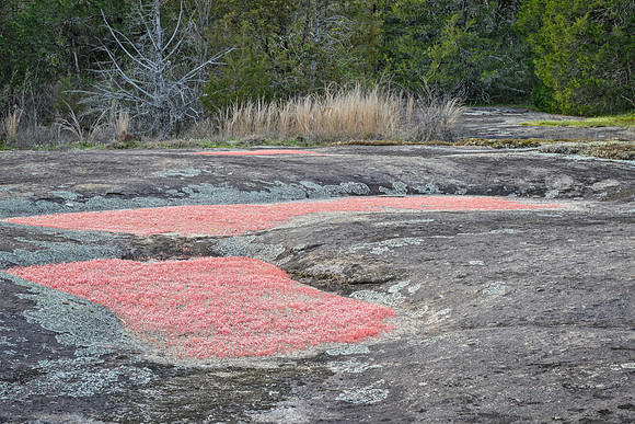 Heggie's Rock