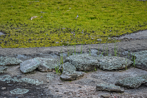 Heggie's Rock