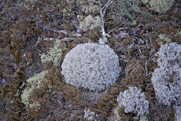 Heggie's Rock