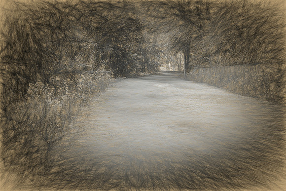 Augusta Canal Walking Trail