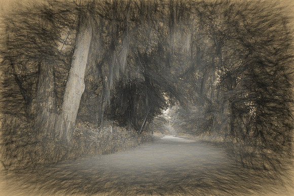 Augusta Canal Walking Trail