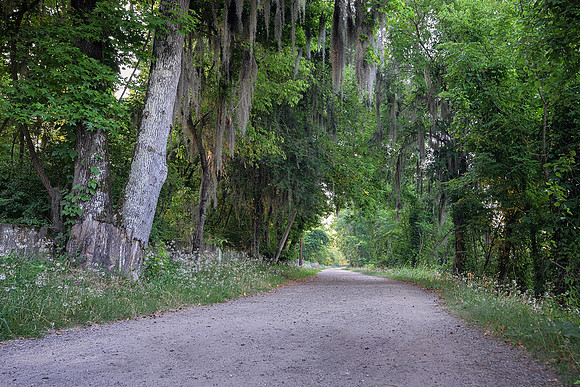 Augusta Canal Walking Trail