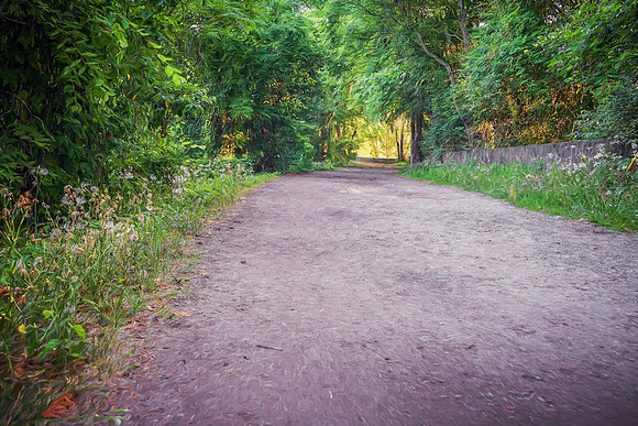 Augusta Canal Walking Trail