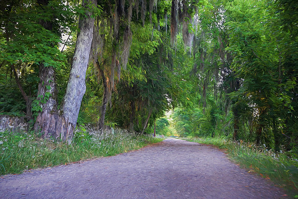 Augusta Canal Walking Trail